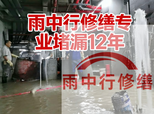 淄博中国五矿某大型污水处理厂堵漏案例